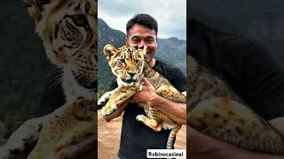 I Caught baby tiger in hunted forest tiger wildlife [upl. by Rolfston541]