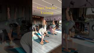 Yoga Teacher Training Program yogatute [upl. by Corrie]