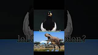 Who can beat microraptor indoraptor jurassic edit jurssicworld jurrassicworld [upl. by Sayette]