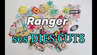 Scrapbooking 5 Façons de RANGER ses DIES CUTS et Découpes 🧐🤗 [upl. by Aneleairam]