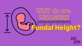 Why measure Fundal Height [upl. by Girvin]