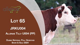 Lot 65 Allenae Tilly U004 PP [upl. by Biagio]