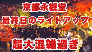 【4K】2024年12月1日（日）京都永観堂、最終日のライトアップ。超大混雑すぎてヤバい！京都永观堂在最后一天灯火通明。超级拥挤！Eikando Temple Kyoto japan [upl. by Uke]