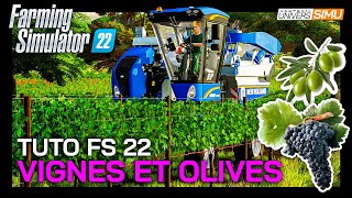 TUTO FARMING SIMULATOR 22  Comment cultiver VIGNES raisins et OLIVES [upl. by Etnor]