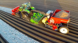 Potato Planting  DeutzFahr Agrotron 7250 TTV on RowCrop Tracks  Dewulf Miedema belt planter [upl. by Nomelc945]