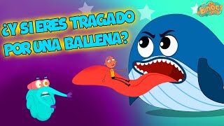 ¿Y Si Eres Tragado Por Una Ballena  Vídeo Educativo útil  Educativos Para Niños 2024 [upl. by Ludmilla846]