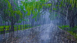 FORTE PLUIE Pour Dormir Rapidementétude Détendre Améliorer linsomnie  Pluie et Orages la nuit [upl. by Petersen]