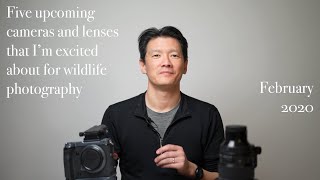 Five upcoming cameras and lenses that I’m excited about for wildlife photography February 2020 [upl. by Ejroj759]