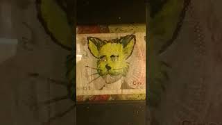 Maud Lewis cat Argentina and Wu Tang together at last ✌❤🐝 cats money art woodworking wutang [upl. by Bacon]