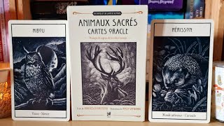 🦌🦔 Loracle des Animaux sacrés de Francesca Matteoni 🦔🦌 [upl. by Eralcyram66]