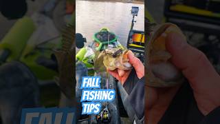 Fall Kayak Fishing Finesse is Best KayakFishing bass largemouthbass kastking feelfreekayaks [upl. by Asta403]