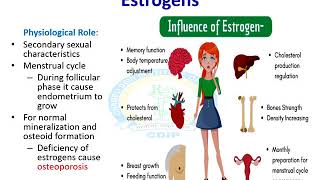 Gonadal Hormones Part 2 [upl. by Tija882]