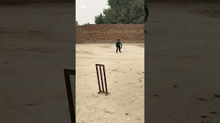 Hit Wicket cricketball youtube short [upl. by Trovillion]