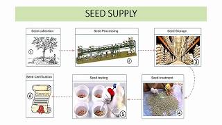 15 RPSCACF 2020  Silviculture  Lecture 72  Seed Supply [upl. by Aiciled728]