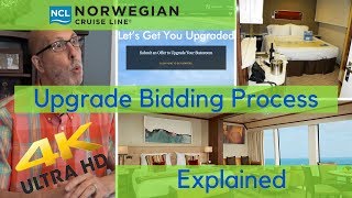 NCL Bidding Process Explained [upl. by Nnylekoorb]