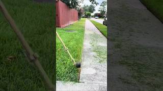 Lawn Edging 7 shorts satisfy trees edging satisfying gardening grass relaxing [upl. by Dublin]