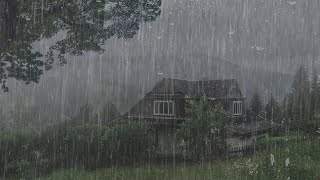 Ruido de Lluvia Para Dormir Profundamente y Relajarse  Sonido de Lluvia Sin Truenos en el Bosque [upl. by Arnon220]