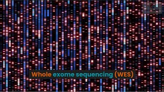 Whole exome sequencing WES [upl. by Ylluz]