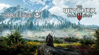 Witcher 3  Skellige  Relaxing Ambience amp Music nextgen study relax [upl. by Anelehs]