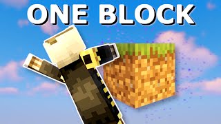 SKYBLOCK With Only One Block  Minecraft Multiplayer Gameplay [upl. by Llerrehs]