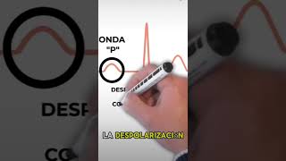 Electrocardiograma explicación electrocardiograma [upl. by Bekki]