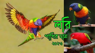 লরি পাখির দাম । লরি পাখি পালন পদ্ধতি । Lorikeet bird price । Rainbow lory Chettering loryRoufAgro [upl. by Alidus]