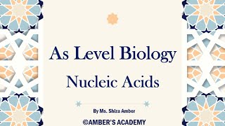 A Level Biology Nucleic Acids  Cambridge 9700  Part 1 [upl. by Bedelia214]