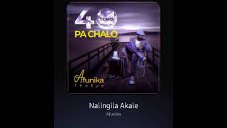 Afunika  Nalingila Akale official audio [upl. by Aiuqenehs]