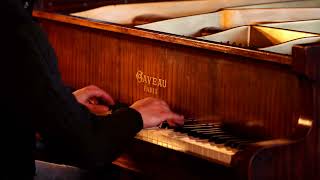 Schumann  Tausig  The Smuggler  Gaveau Piano [upl. by Adnoved503]