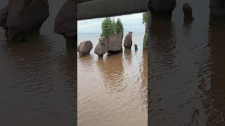 Hopewell Rocks New Brunswick [upl. by Dahaf]