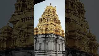 Vimana Venkateshwara swamyVenkateshwara swamy temple near amravathi [upl. by Annabal]