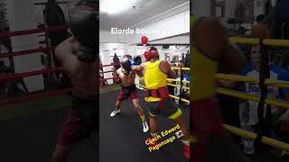 Boxing sparring boxingsparring sumpayprado boxers fighters gilmorefighters elordegym [upl. by Klute]