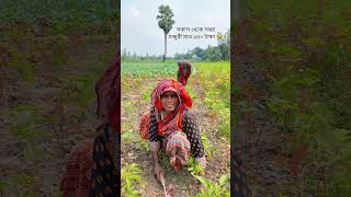 এটাই বাংলাদেশ 🇧🇩 village villagelife shortsfeed foryou [upl. by Dowski744]