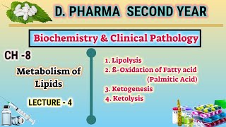 Lipid metabolism  CH8  L4  Biochemistry and clinical pathology  DPharm second year [upl. by Burton893]