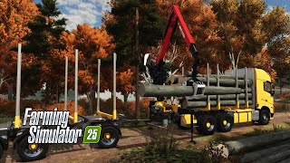 Farming Simulator 2025  Forestry GAMEPLAY FS25 🚜 [upl. by Anne]