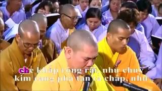 Tụng Kinh Vô Lượng Thọ  HT Thích Trí Thoát [upl. by Aziar]