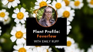 Plant Profile Feverfew with Emily [upl. by Rogerg]