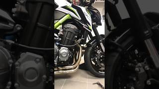 Z900 2019 full exhaust scyoshimura [upl. by Briant]