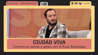 Ciudad Viva  Hablamos de tumores en perros y gatos con el veterinario Pablo Sehabiaga [upl. by Aimahc]