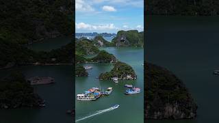 Ha Long Bay Vietnam 🇻🇳 halongbay vietnamtravel vietnam vietnamese halongbaycruise travel [upl. by Tabber]