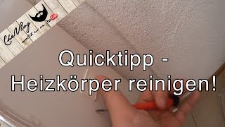 Quicktipp  Geheimtipp um Heizkörper einfach sauber zu machen [upl. by Ardnohsal199]