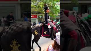 desfilemilitar caballos desfile amlo México militar [upl. by Gav]