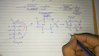 4 Sugar isomers Part3 Optical isomers [upl. by Towrey]