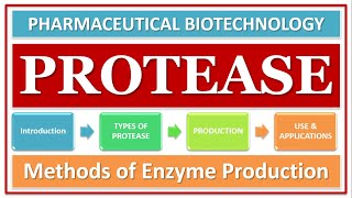 PROTEASE ENZYME  PART1  TYPES  CLASSIFICATION  ROLE OF ENZYME  FUNCTION [upl. by Kirimia117]