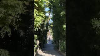 Coming down from Coit Tower via Filbert Street San Francisco CA [upl. by Jarred255]