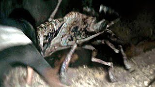 Alien Spiders Attack in the Subway  Cloverfield  CLIP [upl. by Kcirdet]