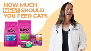 How Much Meat Should You Feed Your Cat Vet Explains [upl. by Quickel]