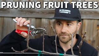 How To Prune Fruit Trees For SMALL Size And MAXIMUM Production [upl. by Wolsniw]