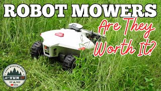 Luba 2 AWD Robot Lawn Mower vs Overgrown Wet Swampy Grass [upl. by Ralf]