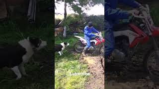 Honda CRF125F Doing A Skid honda crf125f shortsfeed automobile shorts youtubestryhard5560 [upl. by Derman]